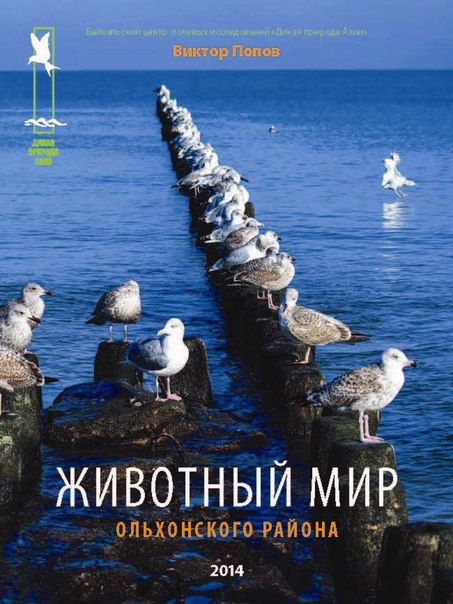 Животный мир Ольхонского района