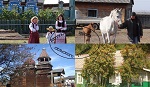 О развитии сельского туризма в регионах
